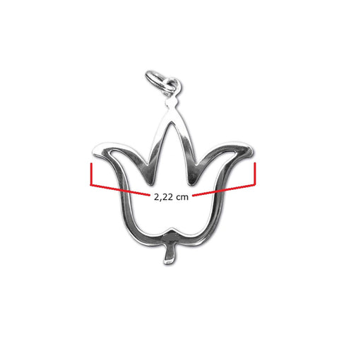 Ciondolo in argento con catenina